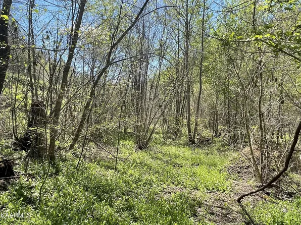 2 Cane Creek Mountain Rd, Tellico Plains, TN 37385