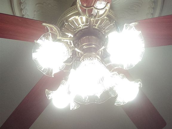 IMAG1763