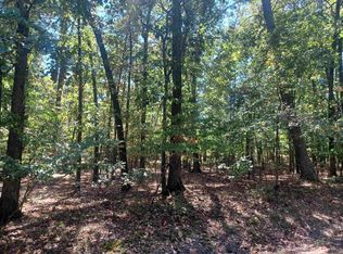 8 Zafiro Ln, Hot Springs Village, AR 71909