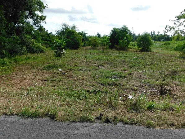 E 115th St, Galliano, LA 70354