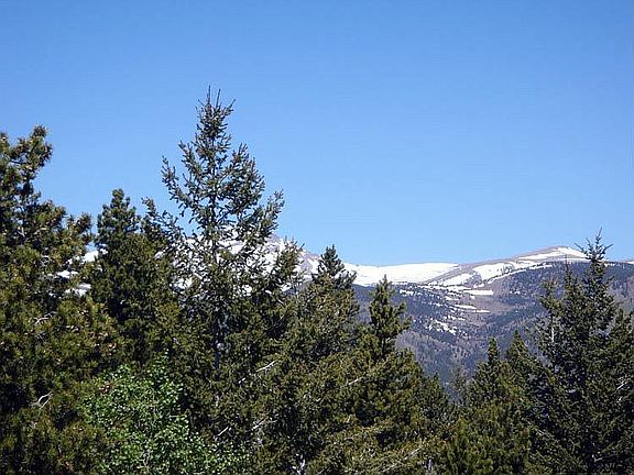 View From Back of House