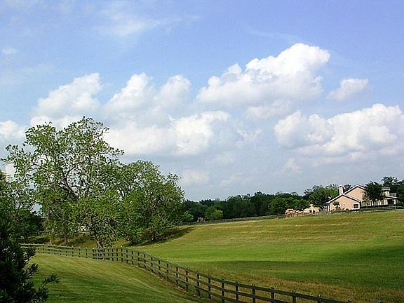 4th image of 31618 Churchill Field Ln