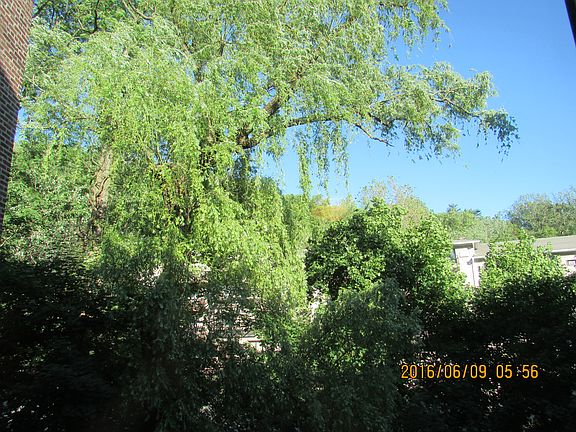 5th image of 1080 Warburton Ave APT 5D