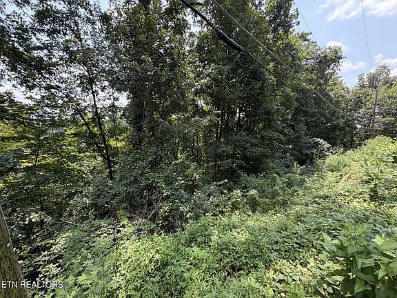 2nd image of 4636 Westover Ter SE