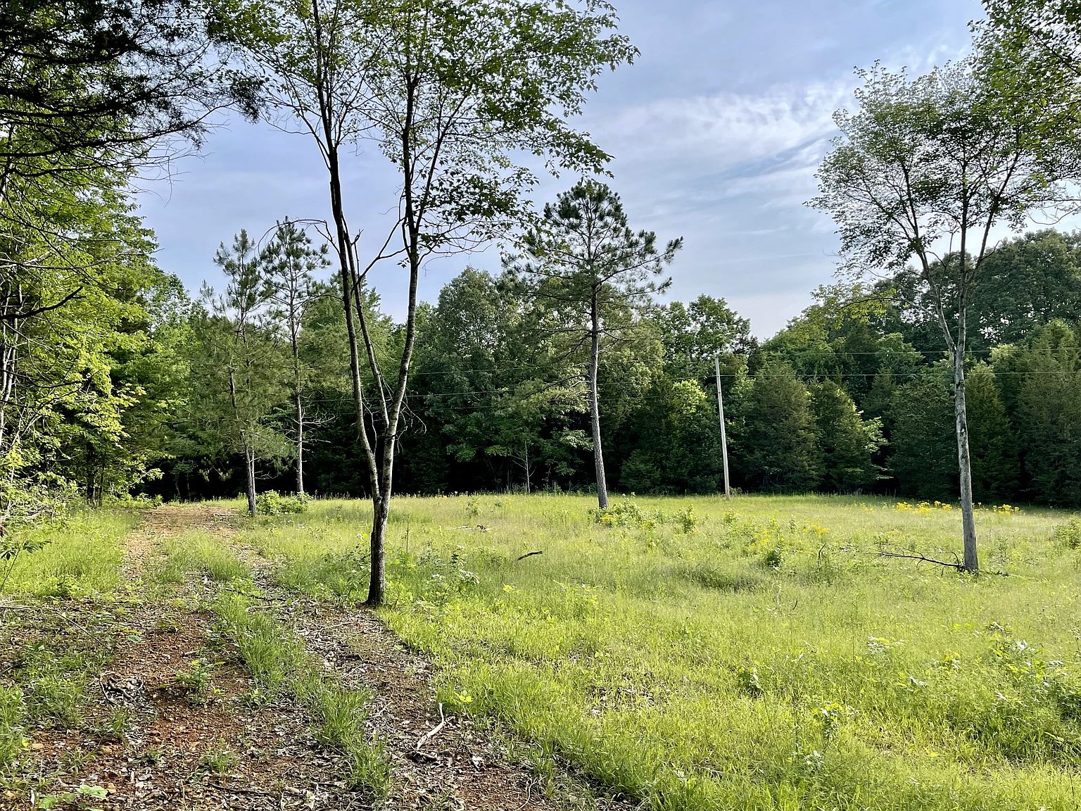 1045 Big Bartons Creek Rd, Dickson, TN 37055 Zillow