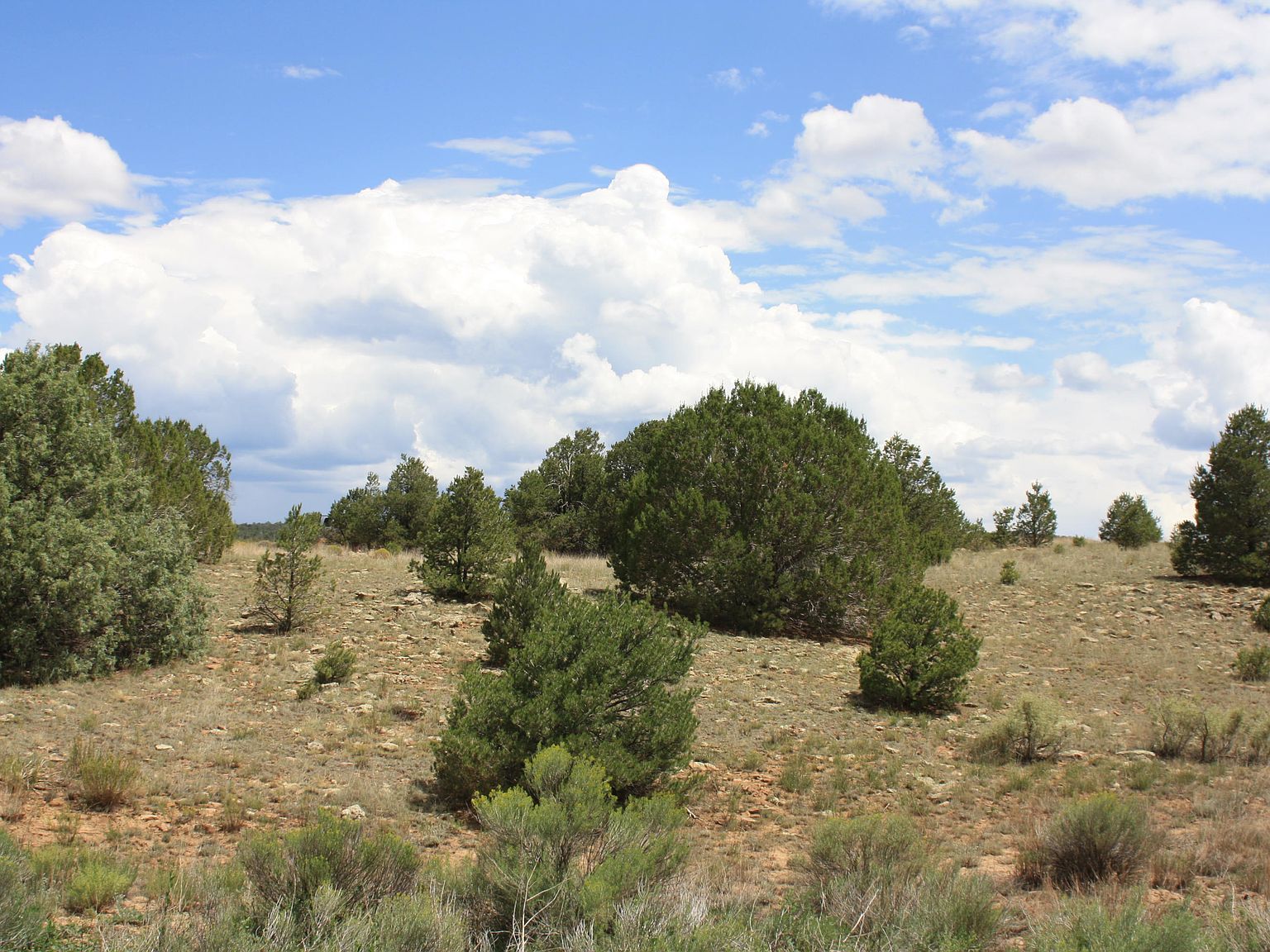 398399 Pine Mdws UNIT 4, Ramah, NM 87321 MLS 1028775 Zillow