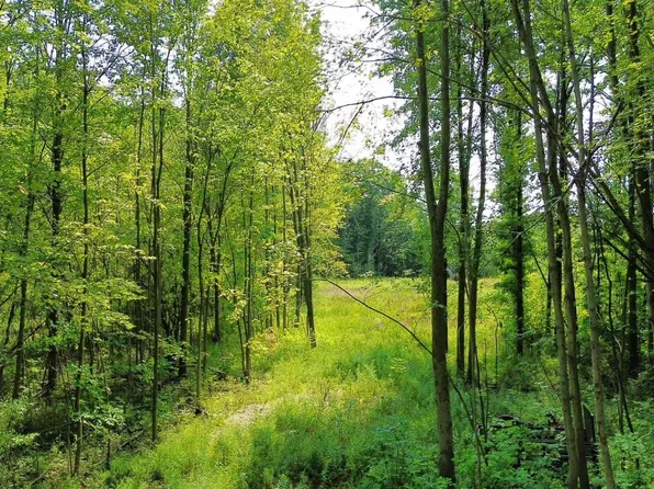 0 Springborn Rd, Casco, MI 48064