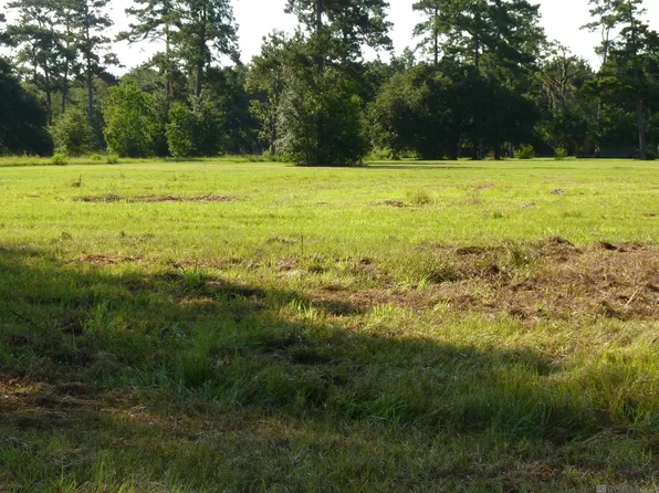 LOT 7 Lynda Dr Lot 7, Springfield, LA 70462