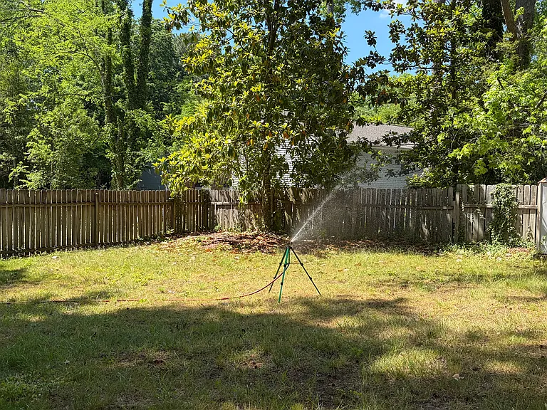 Backyard