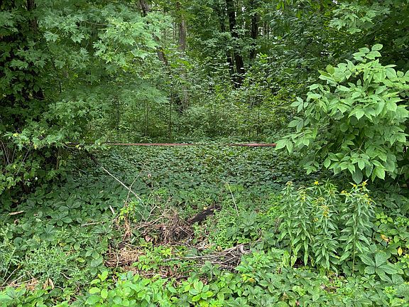 2nd image of 101 Allbirch Rd