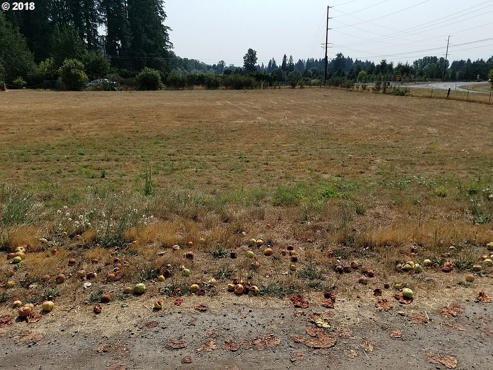 2nd image of 2743 Lewis River Rd