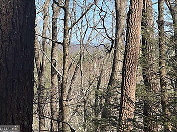 2nd image of 14 Butler Creek Rd