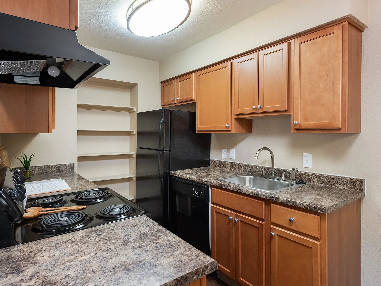 Concordia Apartments — Photo 4
