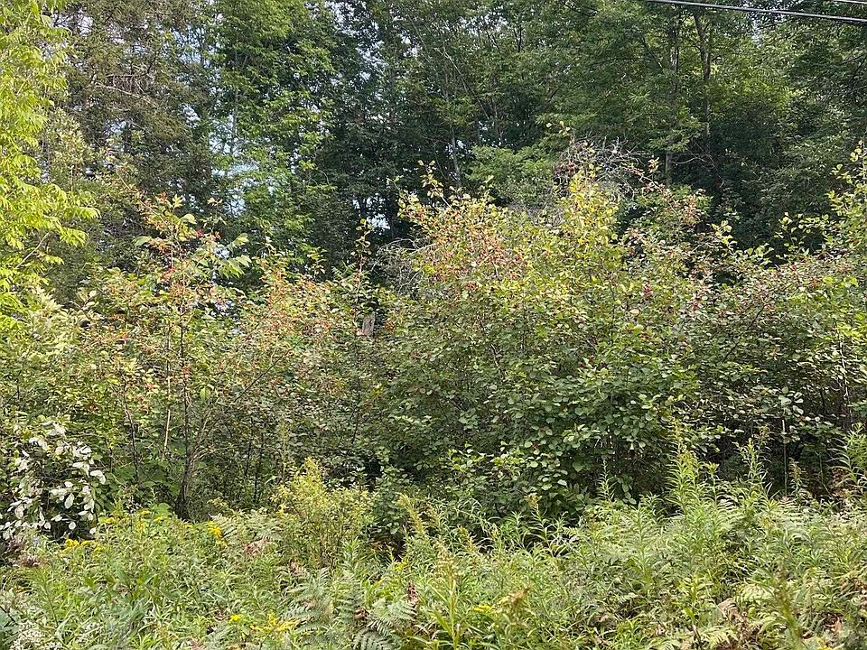 0 Baptist Hill Rd, Lunenburg, VT 05906 MLS 4880419 Zillow