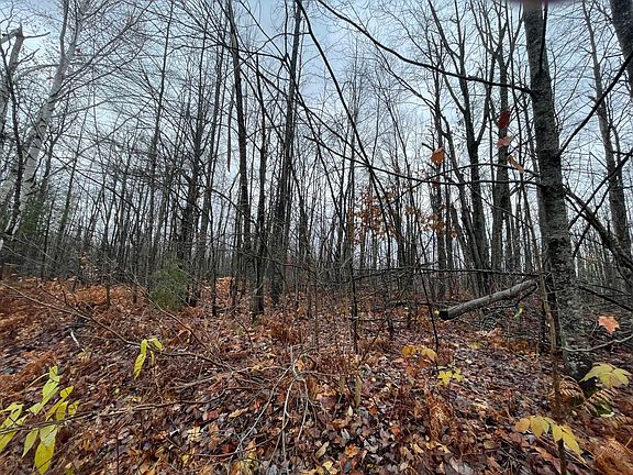 5th image of LOT 46 Louise Dr