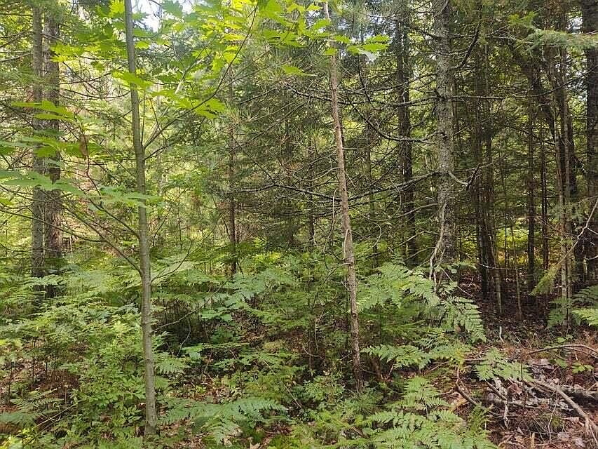 2nd image of Grace Harbor Rd