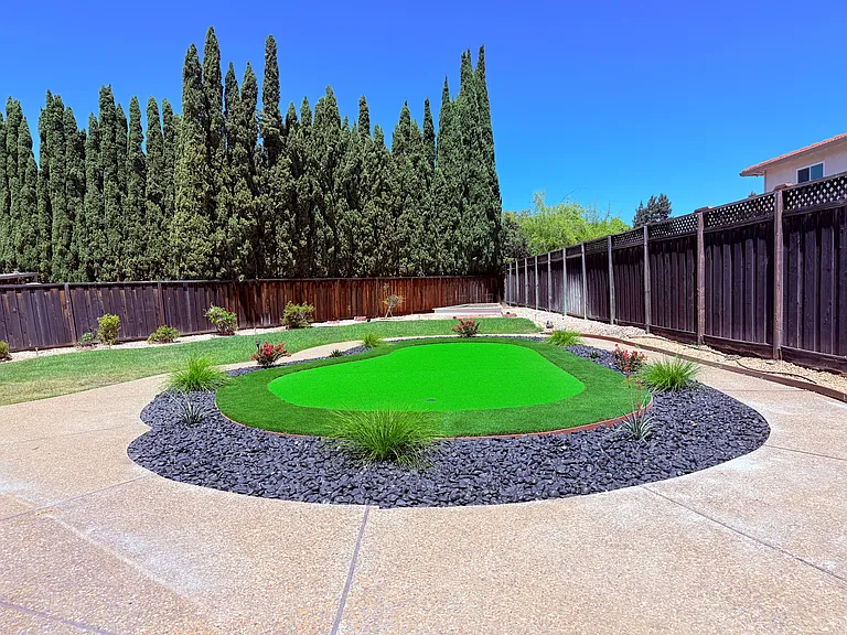 Back Yard