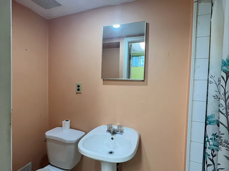 8 Lesskim Ct #BASEMENT — Photo 6