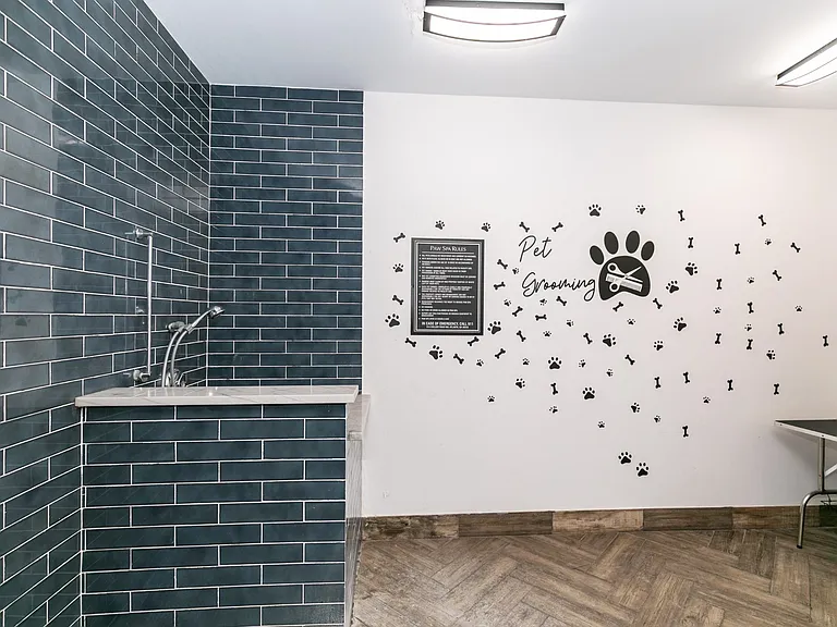 Pet Spa at Willowest in Collier Hills in Atlanta, GA 30318