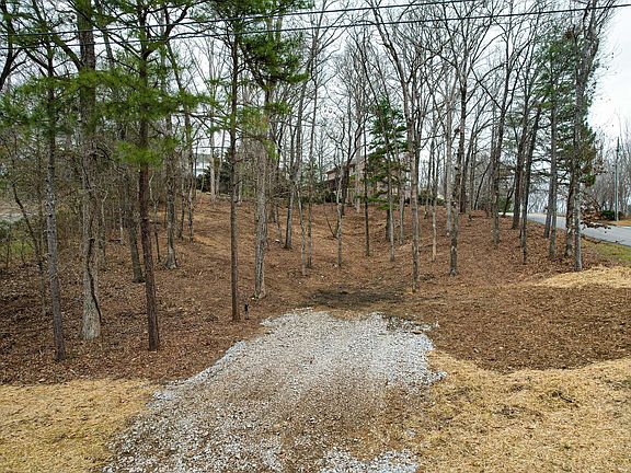 3rd image of 7436 Coastal Dr #78