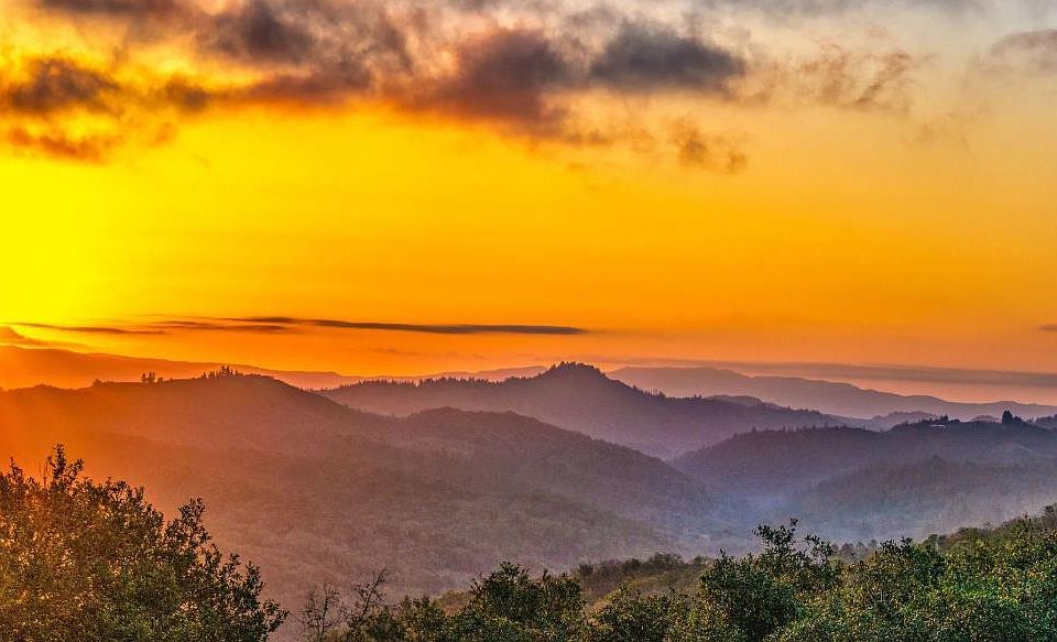 1st image of 590 Wall Road