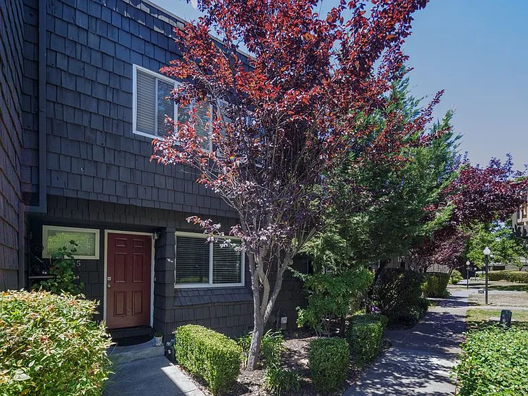 Cedarwood Apartments — Photo 3