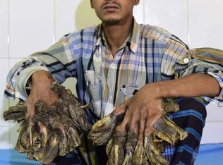 1330 Pevahouse Hollow Rd, Clifton, TN 38425