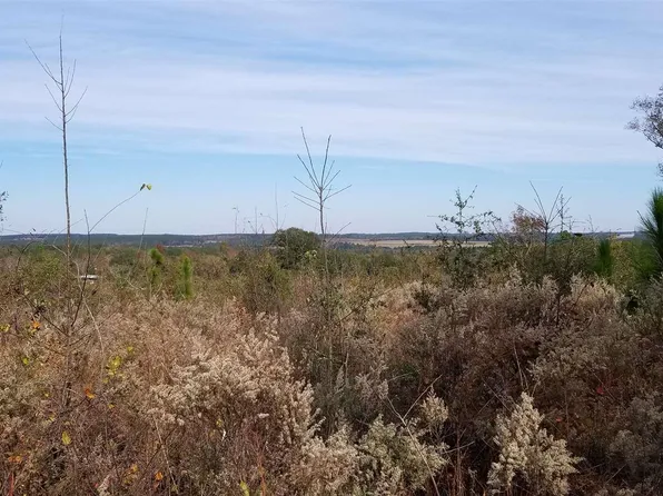 206 Southland Rd, Rupert, GA 31081