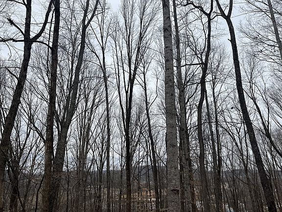 4th image of 147 Chestnut Hill Rd Lot 2
