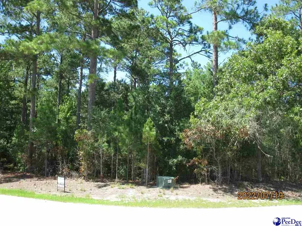 9 Golfview Dr, Nichols, SC 29581