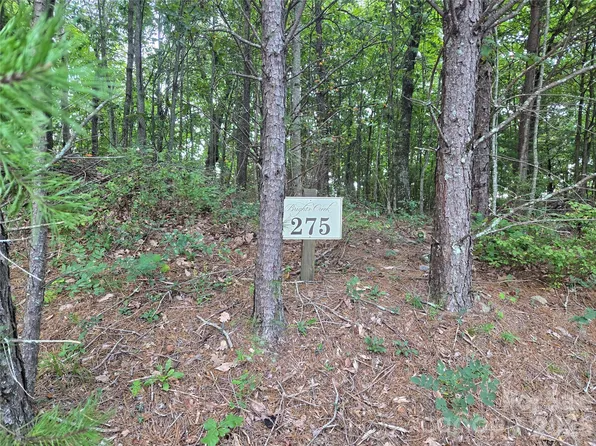 275 Kincaid Pl #275, Mill Spring, NC 28756