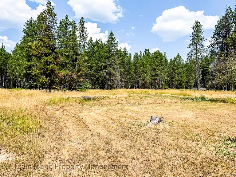 317 Elkhorn Meadows Rd — Photo 11