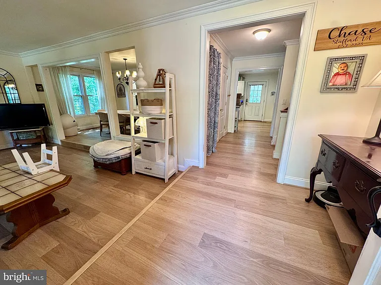 122 Columbus Cv — Photo 3
