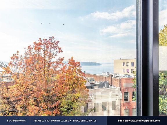Window View