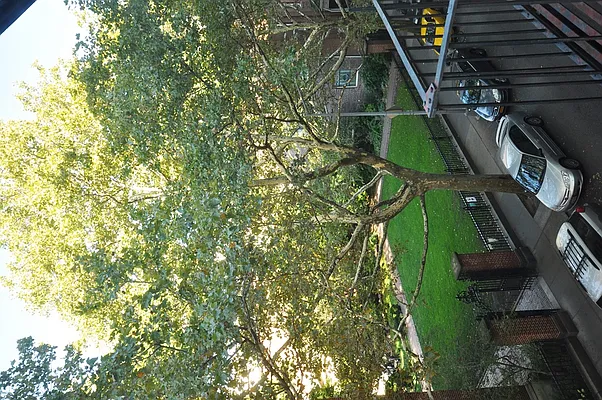 Rented by Corcoran | media 58