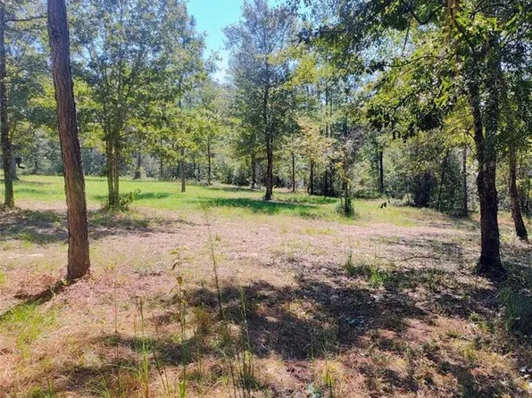 0 Sam Lewis Rd, Citronelle, AL 36522