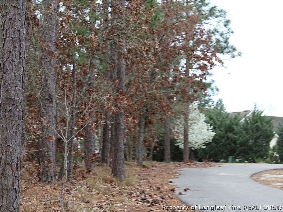 1st image of Bluejay Dr