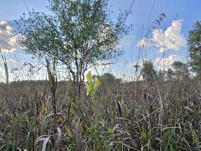 8692 E Baseline Rd, Mount Pleasant, MI, 48858