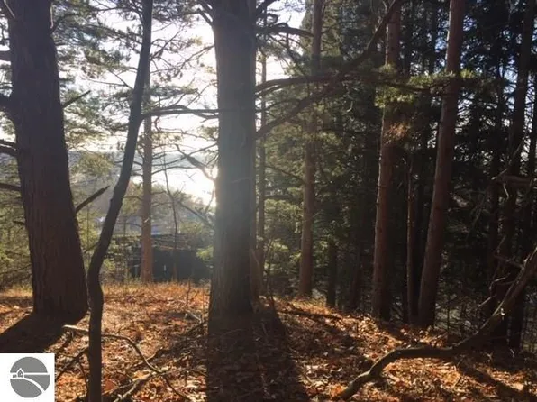 0 Bluewater Dr, Beulah, MI 49617