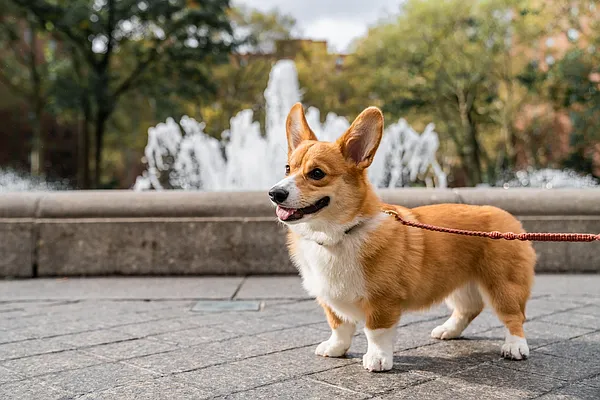 Rented by Beam Living | media 33