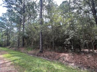 Nhn Tampa Cir, Pearlington, MS 39572