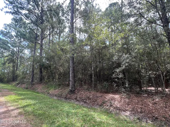 Nhn Tampa Cir, Pearlington, MS 39572