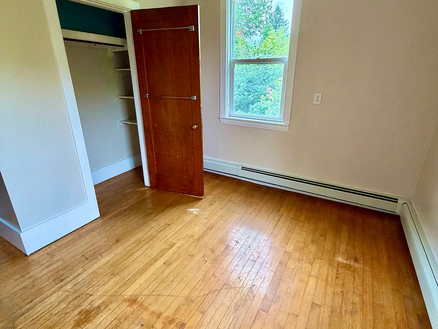 1 bed, $900 — Photo 4