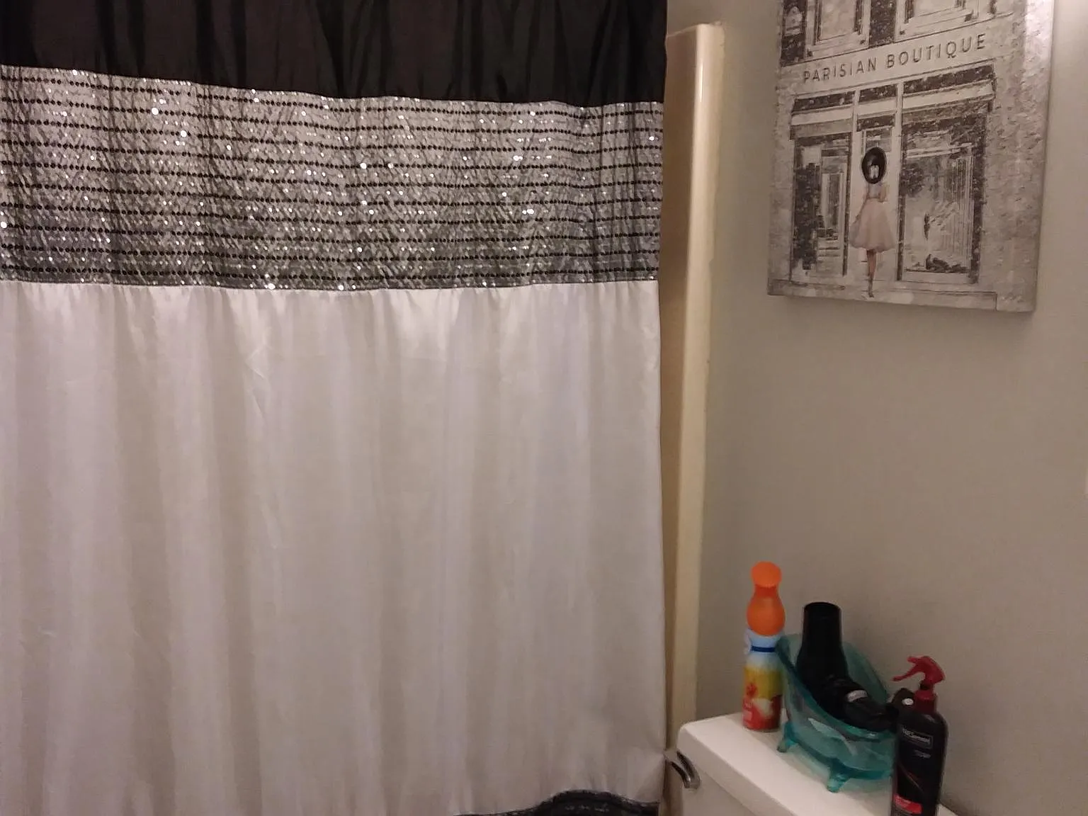 3 bed, 1098 sqft, $1,750 — Photo 4