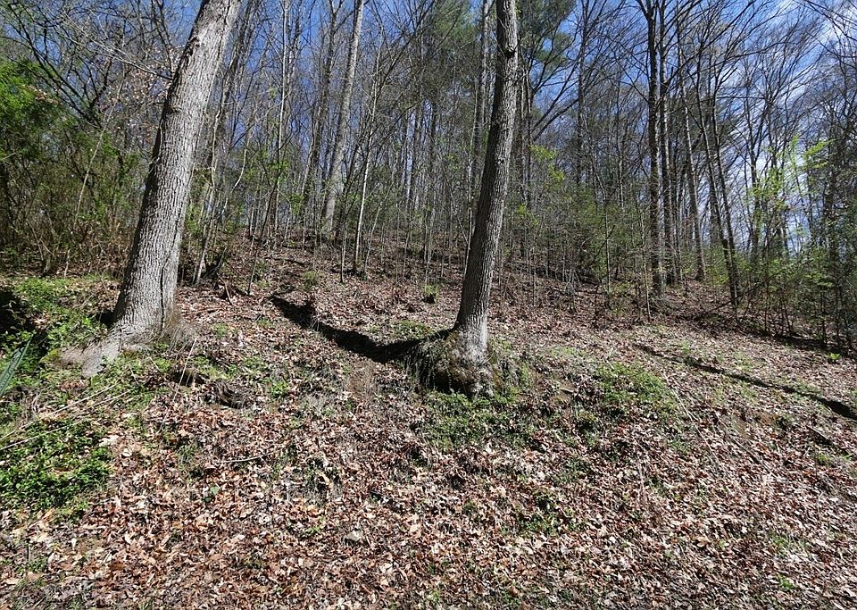 2nd image of 5 Cabin Creek Way #5