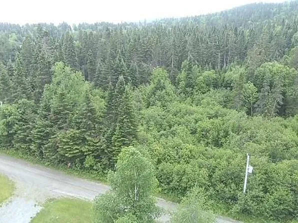 Lot Bungalow Hill, Spruce Brook, NL A0L1G0