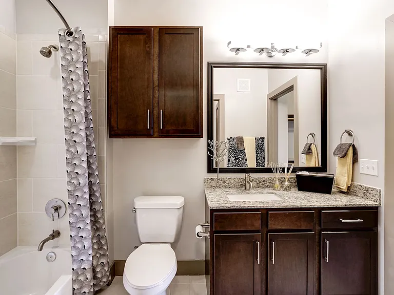 Spa inspired bathrooms with mounted, framed mirrors