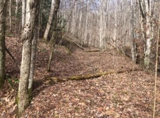 0 Pete Creek Rd, Flag Pond, TN 37657