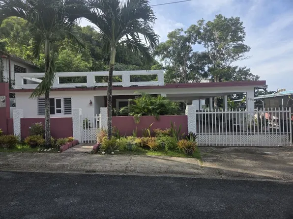 Bo Higuillar Sector Arenales Calle #16-580, Dorado, PR 00646