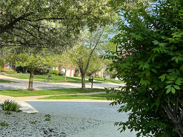 3656 Hector Ln — Photo 38
